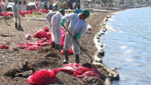 Deniz kirliliğine sebep olan firmaya ceza