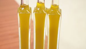 Desteklerin arttırılmasını istediler