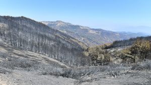  İzmir Valiliğinden beklenen izin geldi