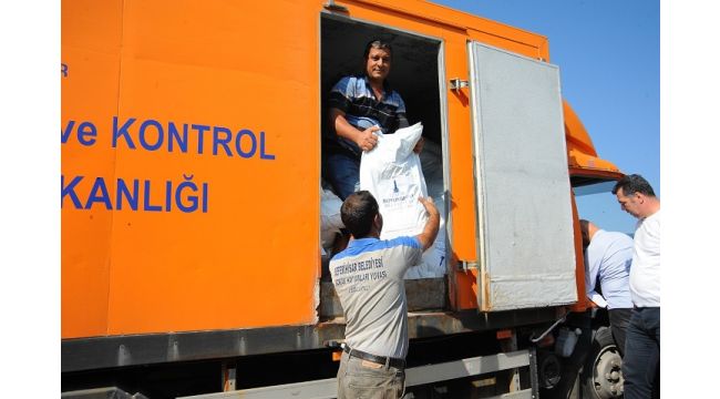 Sokak hayvanlarına 1.5 ton mama yardımı