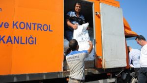  Sokak hayvanlarına 1.5 ton mama yardımı