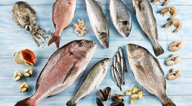 EİB ihracatında Ekim bereketi