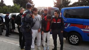 Göçmen olarak geldiler, organizatör oldular