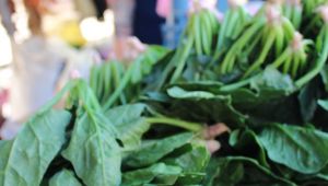  Hem üretici hem de satıcı dertli