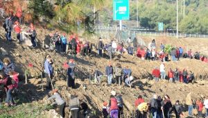  Balçova’da her çocuğun bir ağacı olacak