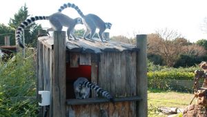 Doğal Yaşam Parkı hayvanlarına doğal gazlı ısıtma 
