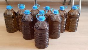 Sahte zeytinyağlarını vatandaşa yedirmişler