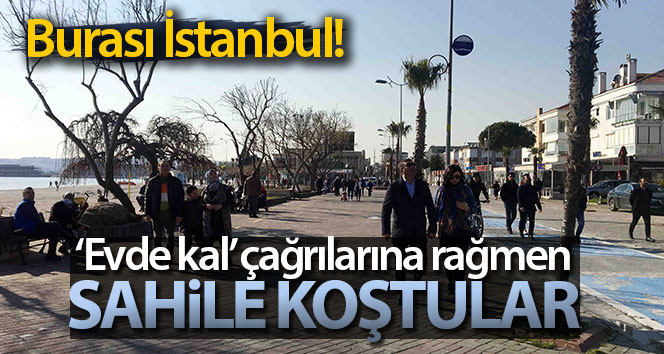 Korona virüsten korunmak için evde kalmak yerine sahile koştular
