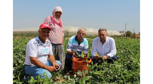 Beko: Tarıma destek verilmemesi dehşet tablosudur!