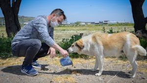 Bergama’da can dostlar unutulmuyor 