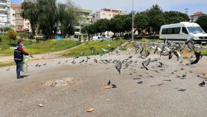 Karabağlar Belediyesi Can Dostlarını Unutmadı