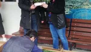 Karaburun'da ekilmeyen tek karış toprak kalmayacak 