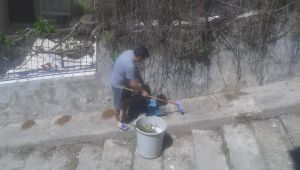 Mamaları çöpe attı, cezayı yedi 