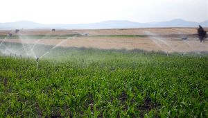 28 Bin Dekar Tarım Arazisi Sulanmaya Başlandı