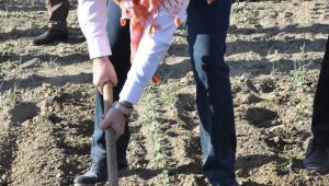  Aksoy’dan Menemenli pamuk üreticilerine destek