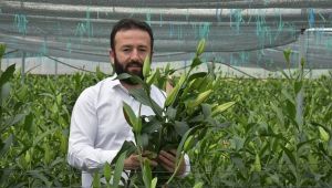 “ Bu film Menderes’te gişe yapmaz!”