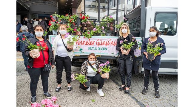 Büyükşehir annelere sardunya dağıtmaya başladı