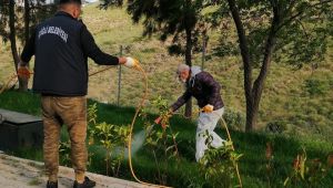 Çiğli parklarında çim ve bitkilere özel bakım