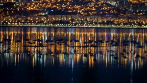 İzmir doğal yaşamla bütünleşecek