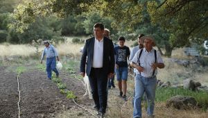 Karşıyaka’da tarımsal kalkınma hareketi başlıyor