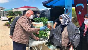 Kemalpaşa Belediyesi’nden vatandaşa 30 bin fide desteği 