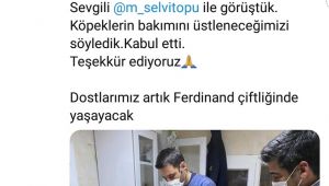 O hayvanlar AHBAP'a emanet