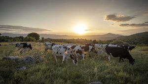 Tunç Soyer: Mera varsa hayat vardır