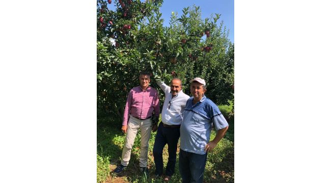 Türk kirazından sonra Türk elmasına Uzakdoğu vizesi