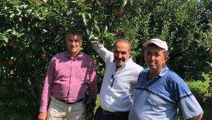 Türk kirazından sonra Türk elmasına Uzakdoğu vizesi