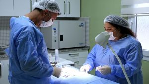 Can dostlarının ikinci yuvası 