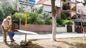 Çeyrek asırlık doğa sevdalısı: Sami Amca 