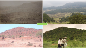 “Dünya Çölleşme ve Kuraklıkla Mücadele Günü”