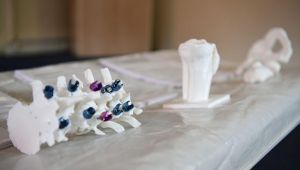 EÜ’de ortopedik tedavide yeni bir model geliştirildi