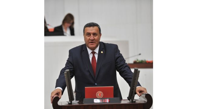 Gürer: “Orman ekosistemi yok ediliyor”