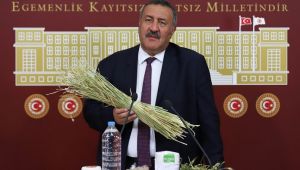 Gürer: “Tarımda gidişat çok kötü”