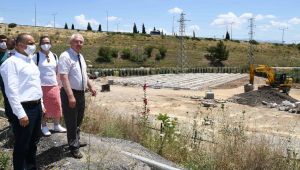 Karabağlar’ın park ve bahçelerinde kullanılacak bitkiler üretilecek.