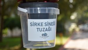 Sirke sineğine tuzaklı önlem