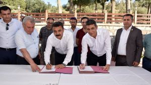 Dikili’de Toplu Sözleşme Mutluluğu