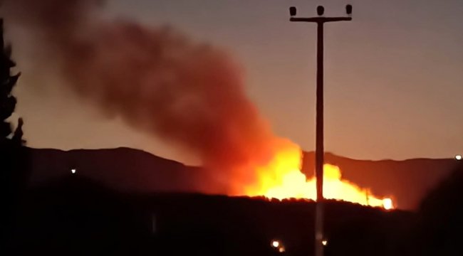İzmir'deki orman yangını kontrol altında
