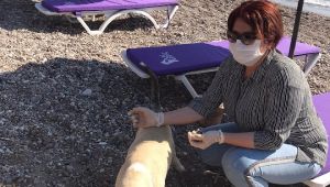 Karaburun plajlarında hizmet kadınlar ve gençlerden 