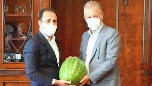 Karpuz yiyin, serinleyin