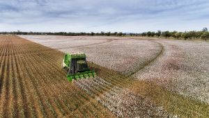 Organik sektöründe hibrit fuar dönemi 