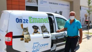 Sokak hayvanlarına ücretsiz veterinerlik hizmeti