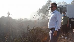 Başkan Sandal'dan ağaçlandırma çağrısı