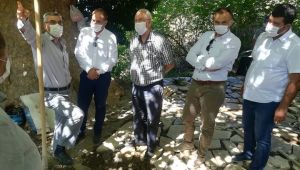 Başkan Selvitopu Kavacık’taki çalışmaları denetledi