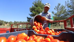 Buca’da yüzler gülüyor