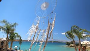 Çeşme'de o işletmelere şok