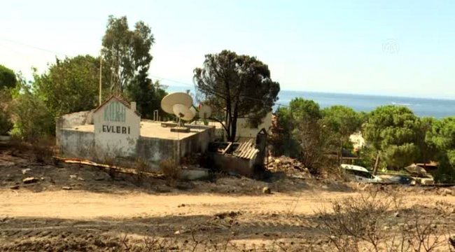 İzmir'deki orman yangınında soğutma çalışmaları devam ediyor