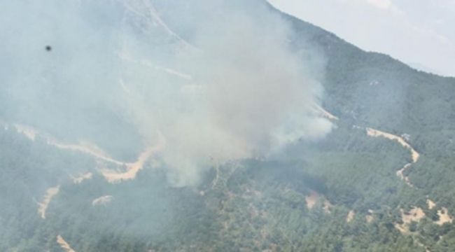 İzmir'in Menderes ilçesindeki yangınla ilgili 1 şüpheli yakalandı