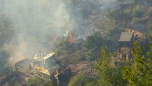  İzmir'in Menderes ilçesindeki yangınla ilgili bir şüpheli tutuklandı